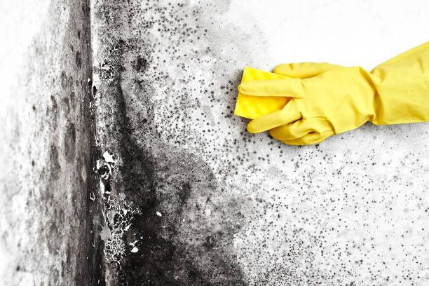 Water Damage Restoration in Oil City, PA