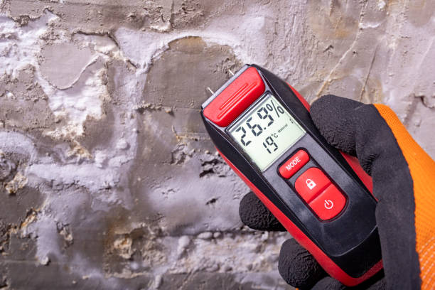 Trusted Oil City, PA Mold Removal Experts
