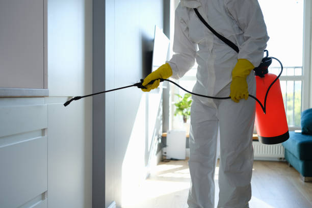 Best Toxic Mold Removal  in Oil City, PA