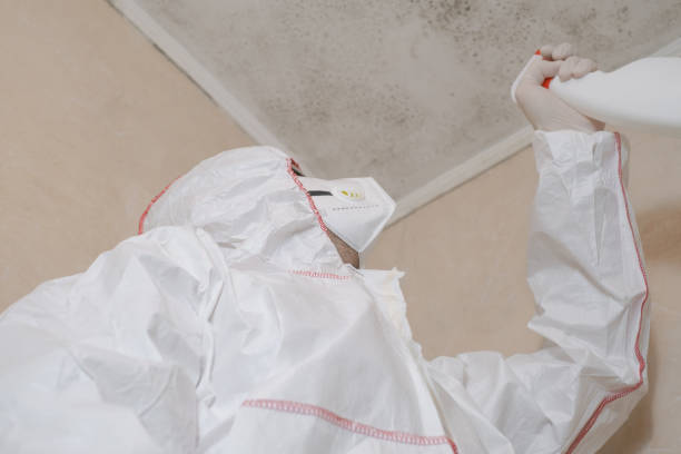 Home Mold Removal in Oil City, PA