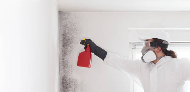 Best Residential Mold Removal  in Oil City, PA